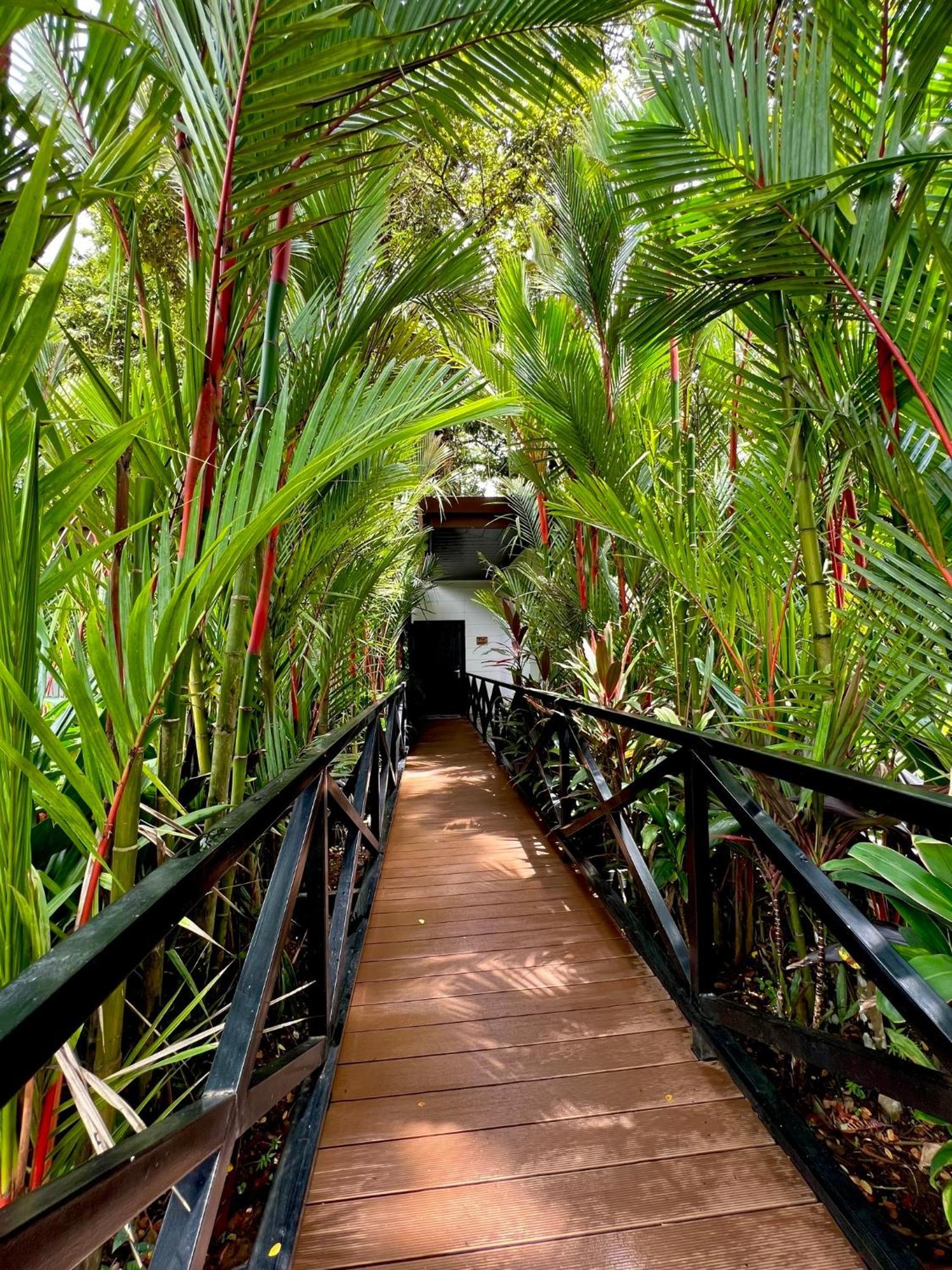 Hotel Boutique Casa Del Rio La Fortuna Esterno foto